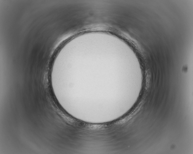 X0000116881166201002021142
