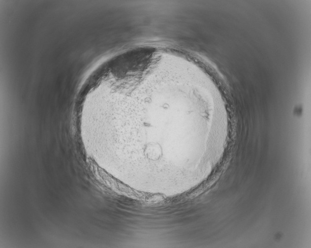 X0000116881167201002021142