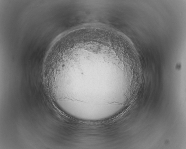 X0000116881168201002021142