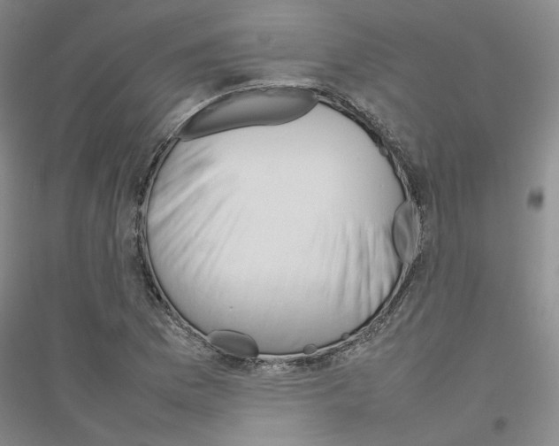 X0000116881169201002021142