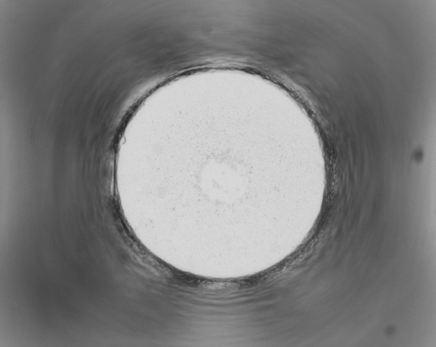 X0000116881171201002021142