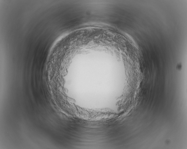X0000116881172201002021142