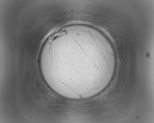 X0000116881173201002021142
