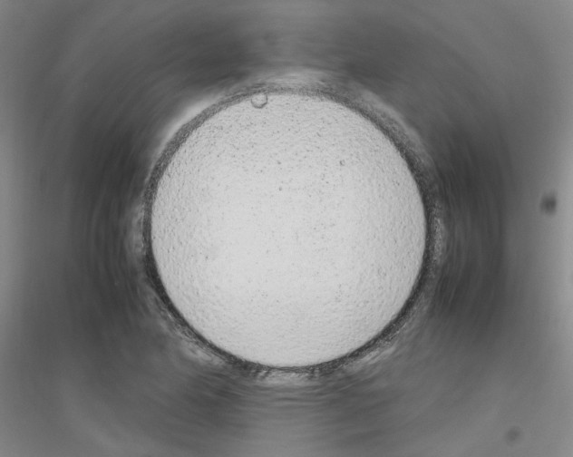 X0000116881174201002021142