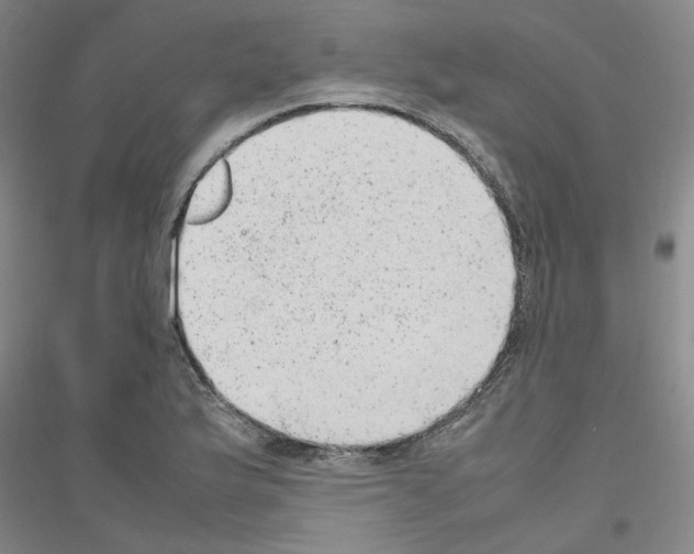 X0000116881175201002021142