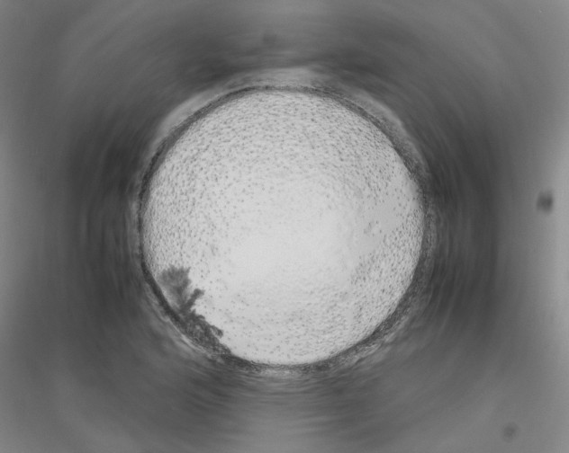 X0000116881176201002021142