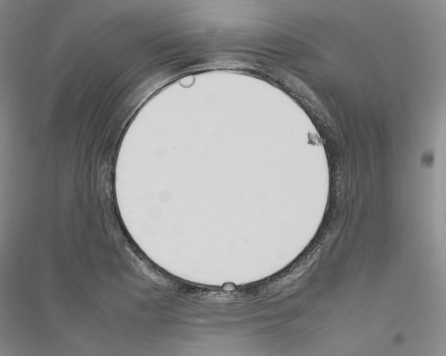 X0000116881177201002021142