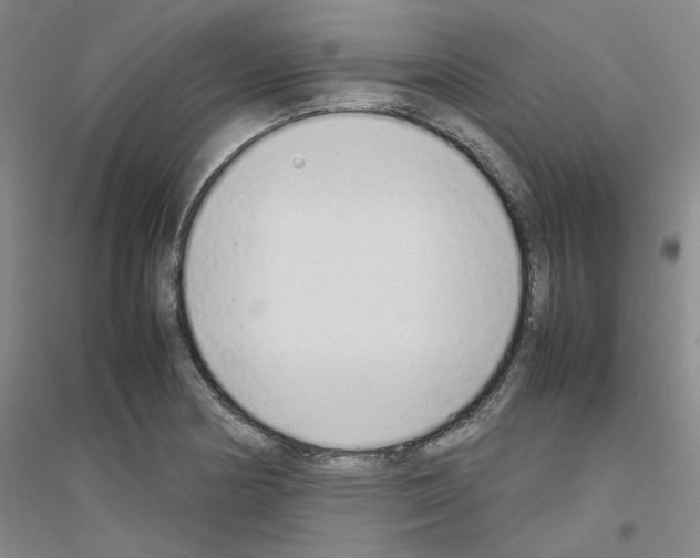 X0000116881178201002021142