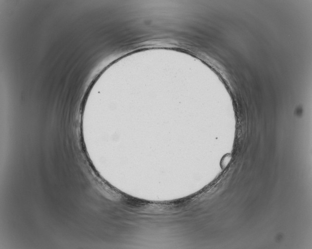 X0000116881179201002021142