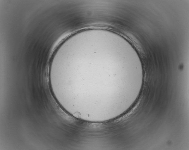 X0000116881180201002021142
