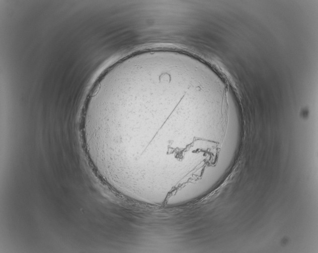 X0000116881181201002021142