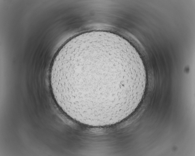 X0000116881182201002021142