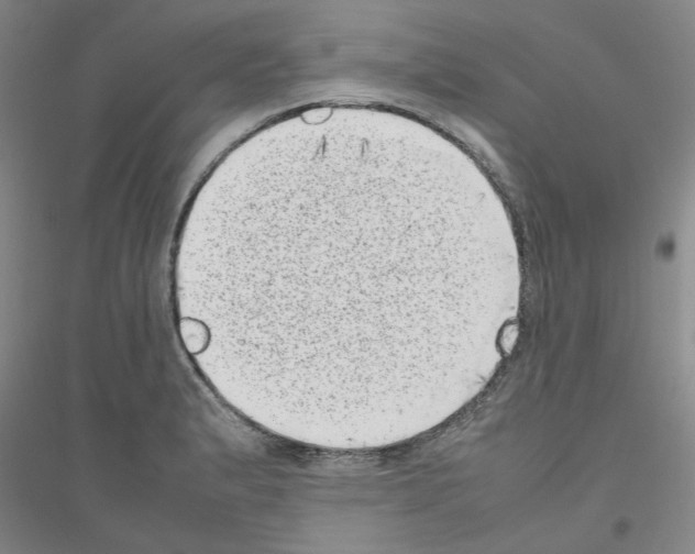 X0000116881183201002021142