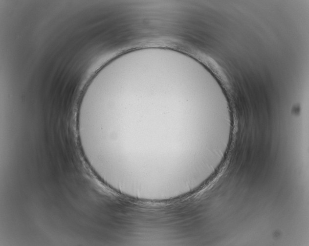 X0000116881184201002021142