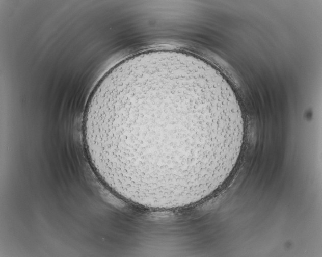 X0000116881186201002021142