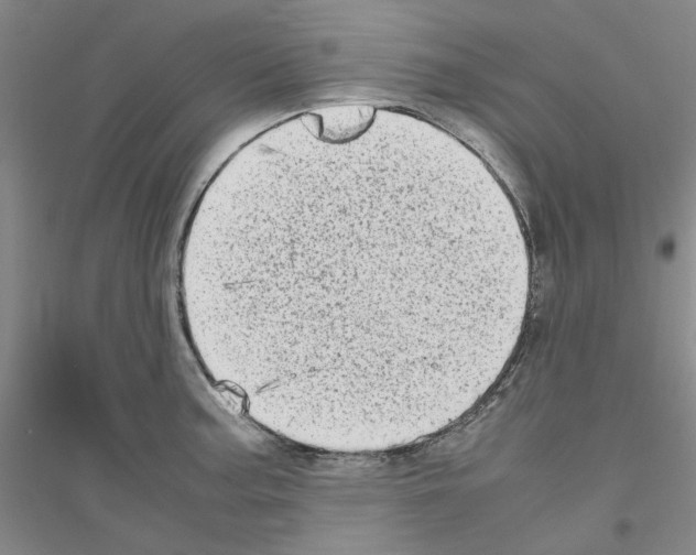 X0000116881187201002021142