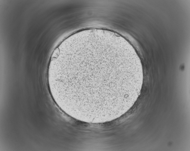 X0000116881191201002021142