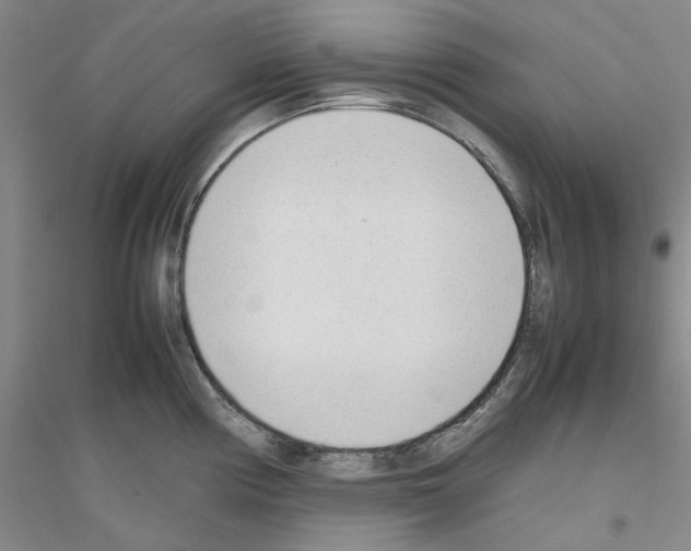 X0000116881194201002021142