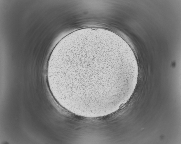 X0000116881195201002021142