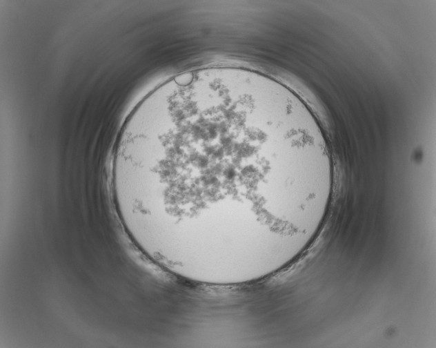 X0000116881198201002021141