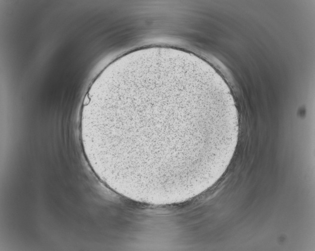X0000116881199201002021141