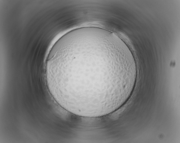 X0000116881200201002021141