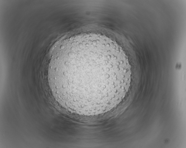 X0000116881201201002021141