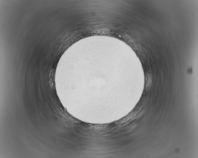 X0000116881202201002021141