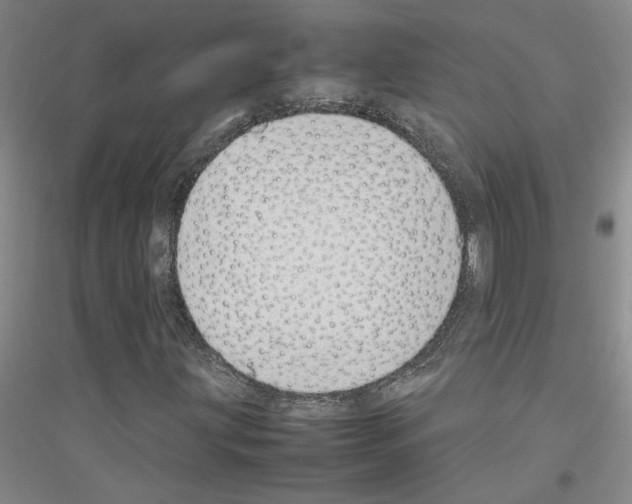 X0000116881203201002021141