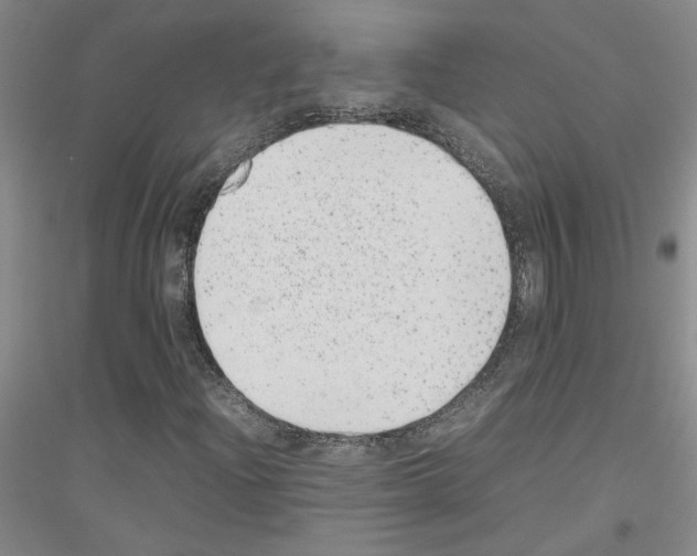 X0000116881204201002021141