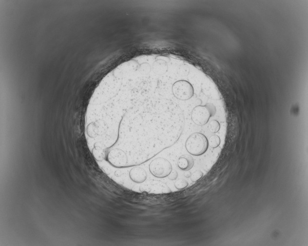 X0000116881205201002021141