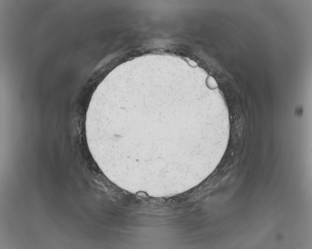 X0000116881206201002021141