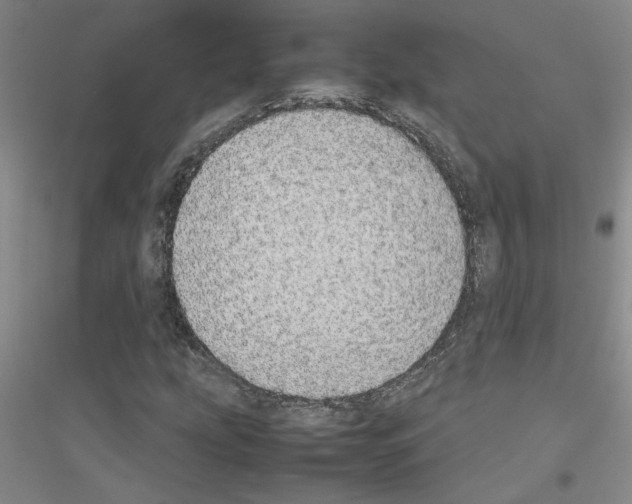 X0000116881207201002021141