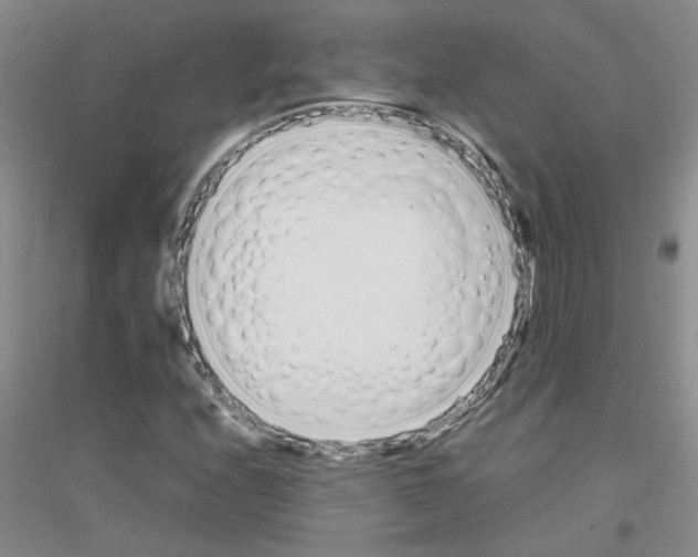 X0000116881208201002021141
