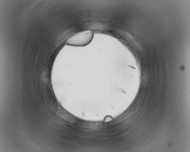 X0000116881209201002021141