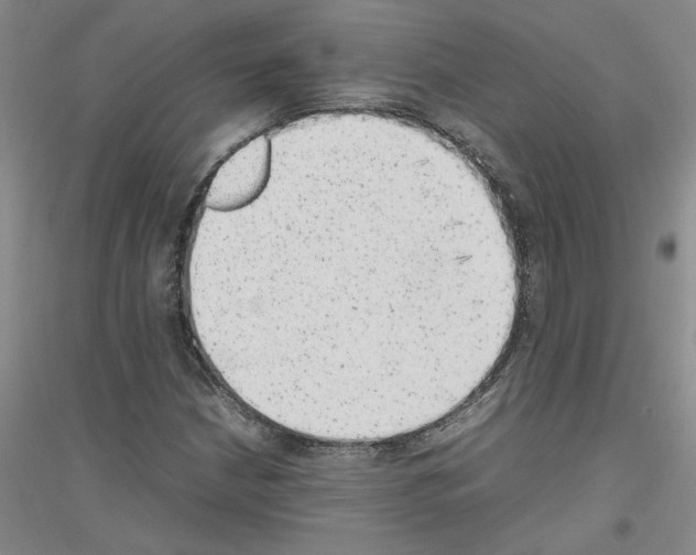 X0000116881210201002021141