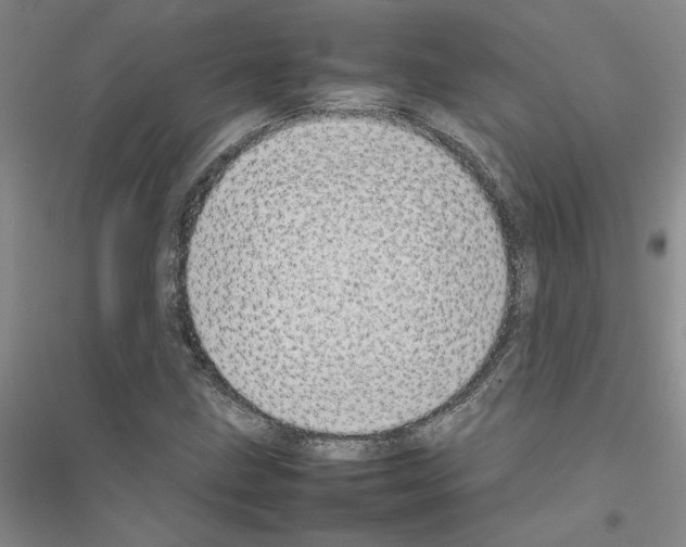 X0000116881211201002021141