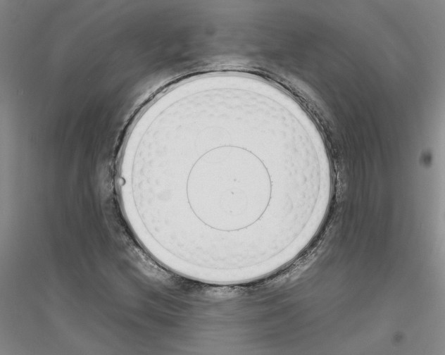 X0000116881212201002021141
