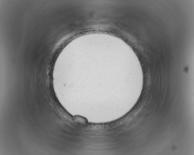 X0000116881214201002021141