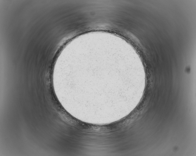 X0000116881218201002021141