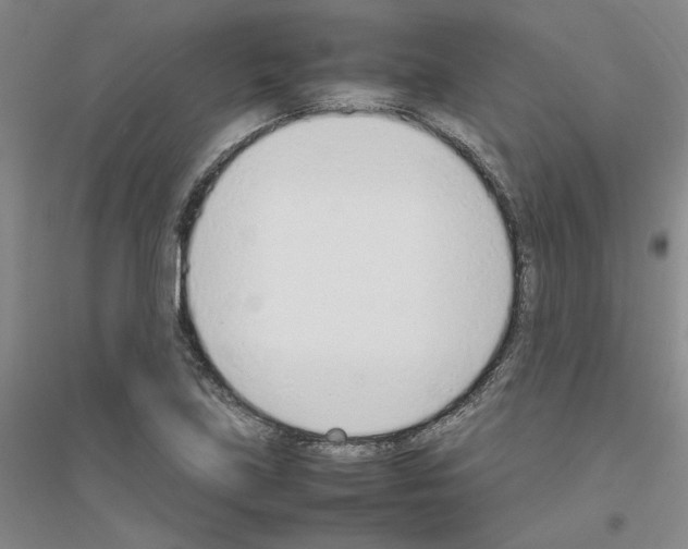 X0000116881219201002021141