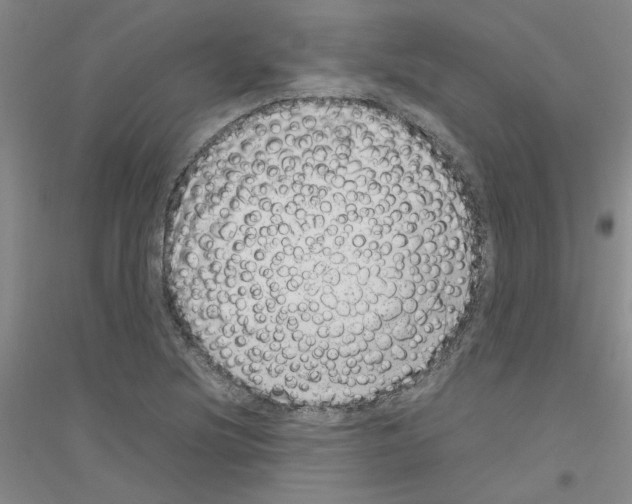 X0000116881220201002021141