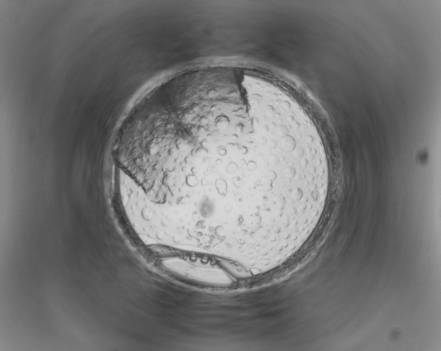 X0000116881221201002021141