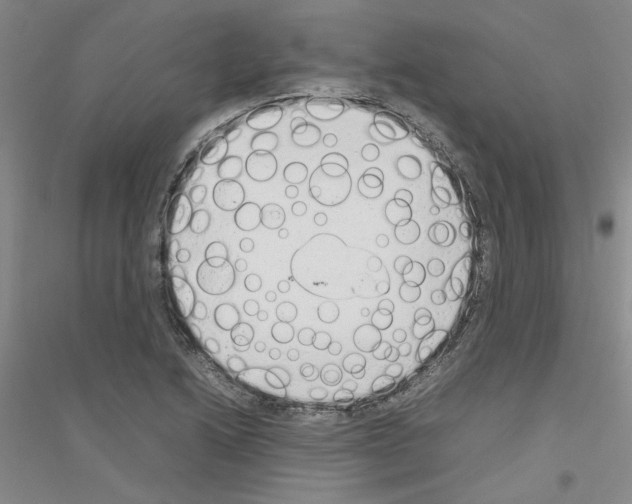 X0000116881222201002021141