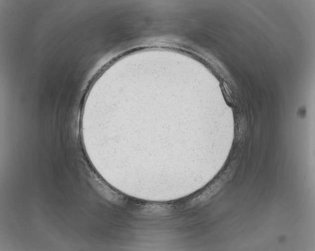 X0000116881224201002021141