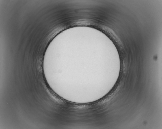 X0000116881225201002021141