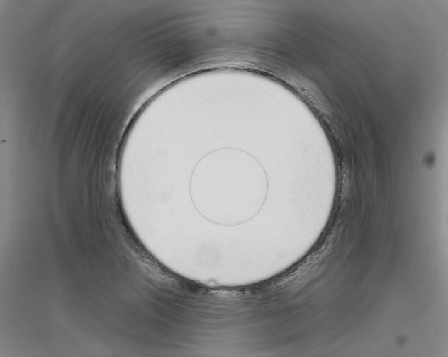 X0000116881226201002021141