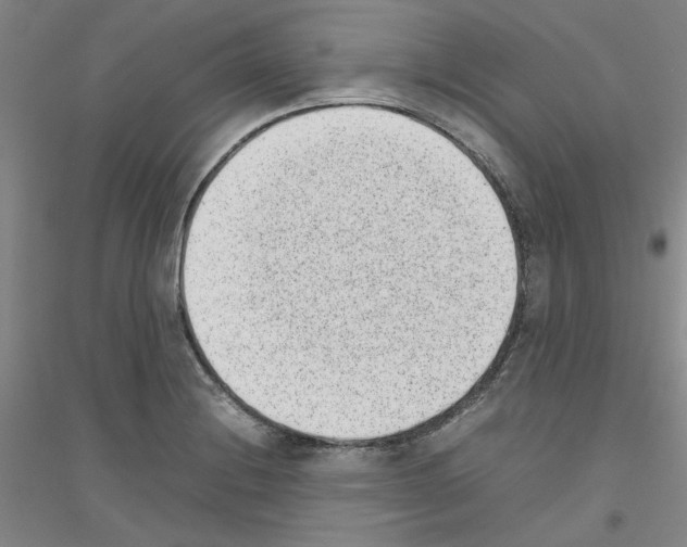 X0000116881228201002021141