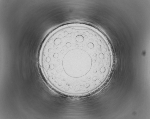 X0000116881230201002021141