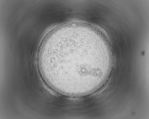 X0000116881231201002021141